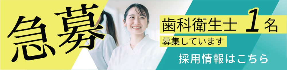 採用情報